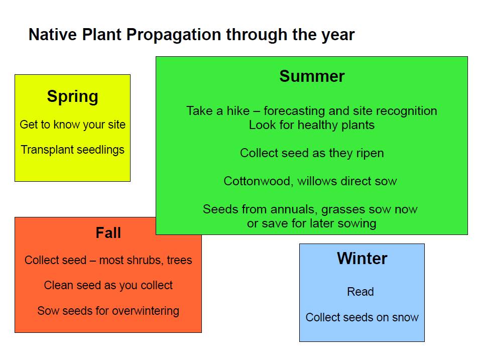 Propagation Year