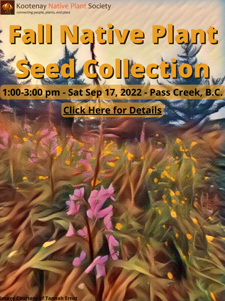 Fall Native Plant Seed Collection Workshop | Kootenay Native Plant Society