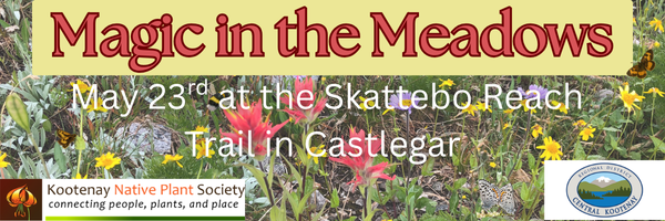 May 23: Magic in the Meadows