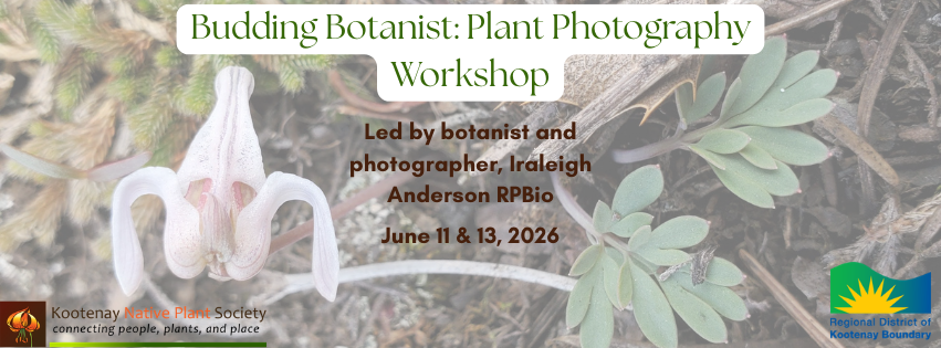 June 11 & 13:  Budding Botanist Plant Photography Workshop