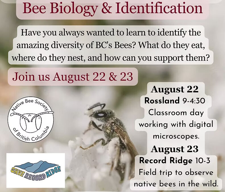 August 22 & 23: Mini Bee School